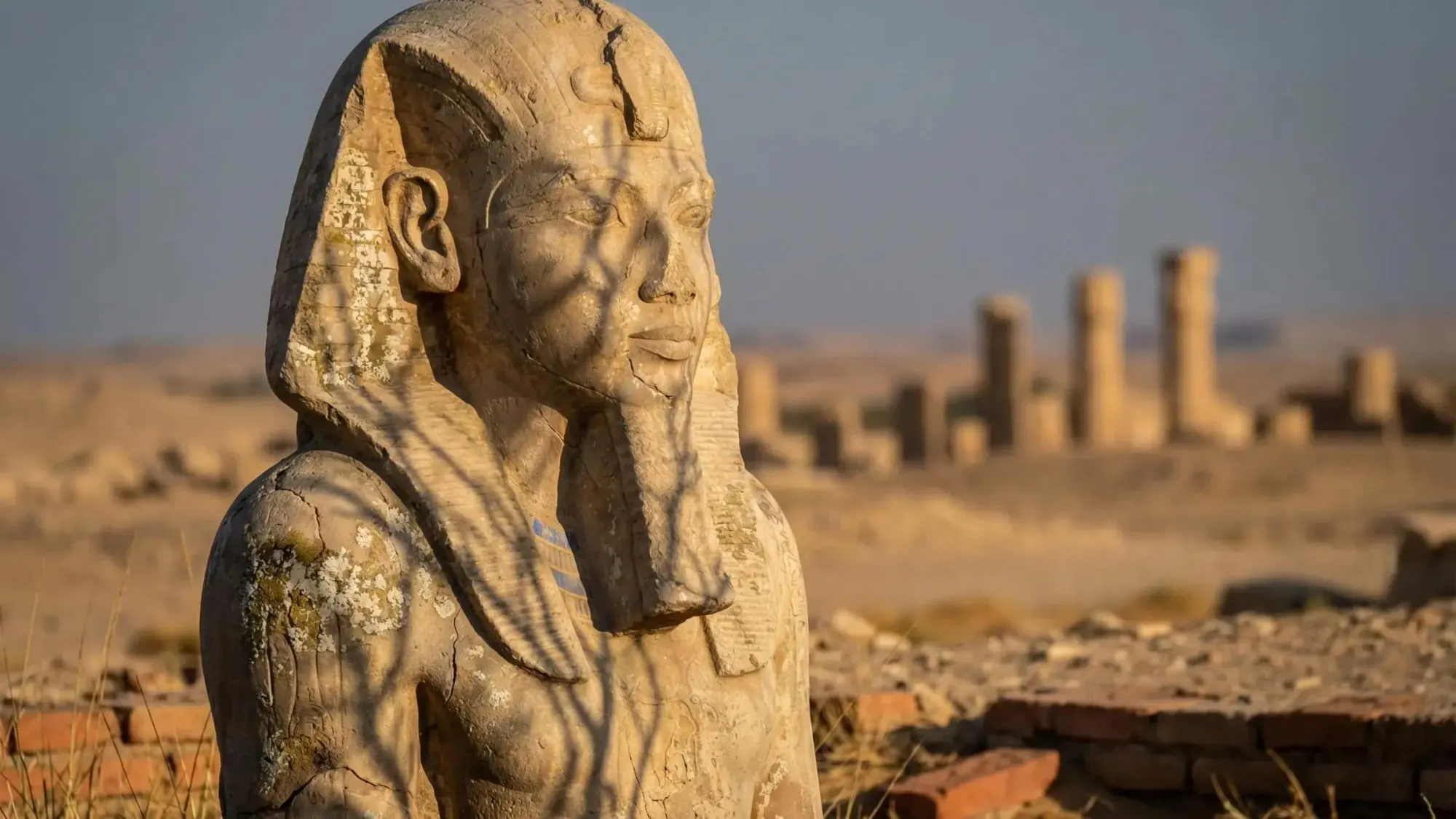 Illustration of a pharaoh representing a greptile alternative concept