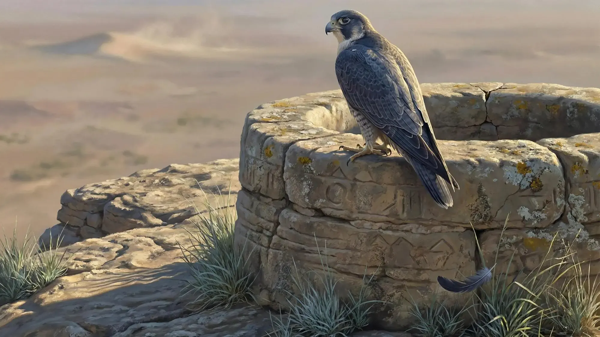 Cover photo for codebase intelligence tool comparison 2026 with charts and tool logos